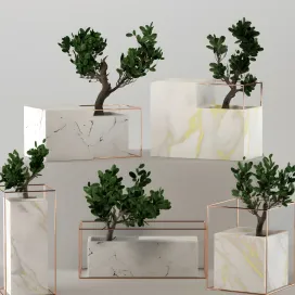 Marble flower pot collection